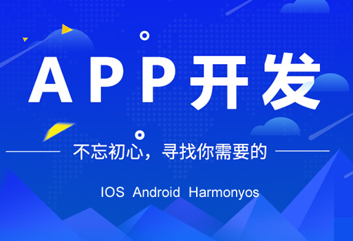 APP定制開發